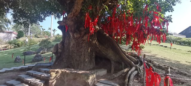 蔡家宅—僑鄉第一宅