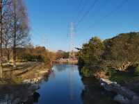 閔行體育公園