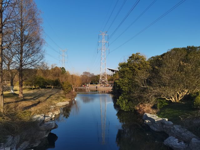 閔行體育公園
