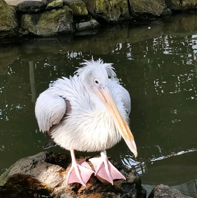 2024 일본 제1역-일본 시마네현