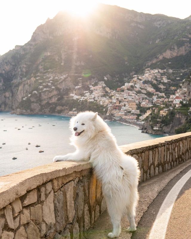 Summer Vibes from the Amalfi Coast in Italy: A Journey Through the Jewel of the Mediterranean!