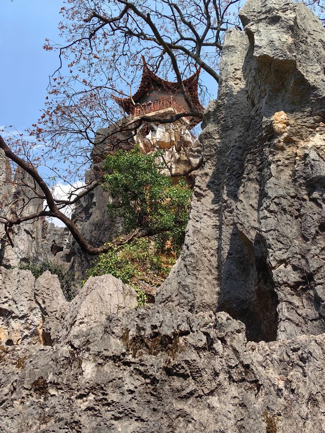 雲南昆明石林丨阿詩瑪的故鄉，山石雕塑奇峰羅列