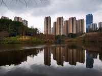 雨後漫步自貢南湖公園