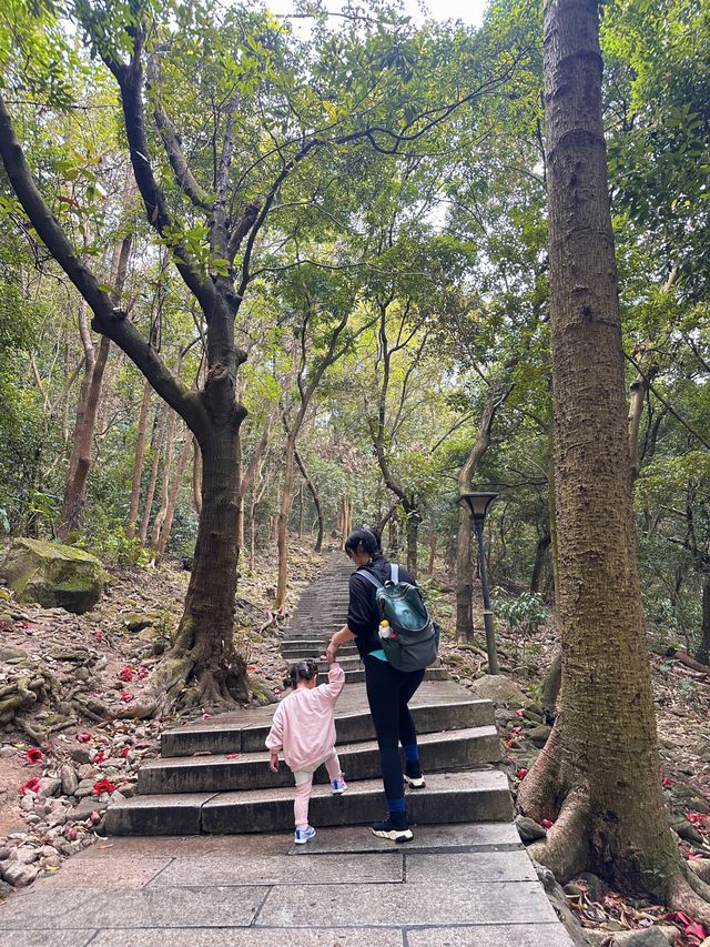 深圳帶娃登山徒步📍鳳凰山祈福實況|||早上出門是潮濕的陰天