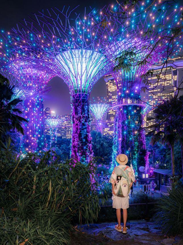 濱海灣花園用戶評價