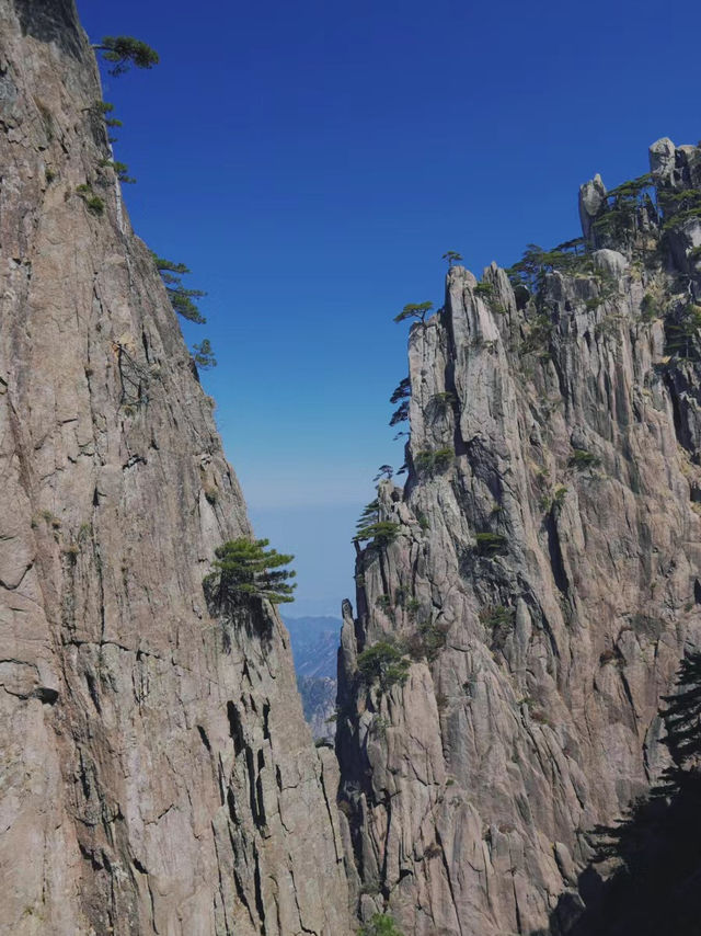 此時的黃山像一幅潑墨山水畫，你確定不來嗎