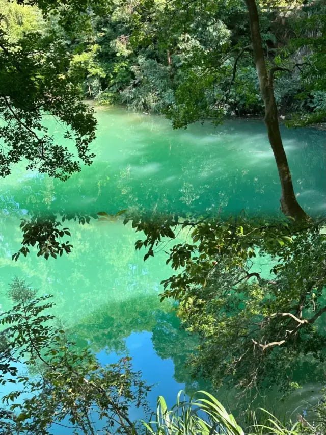 Heyuan I finally know why it's called Wanlv Lake!!