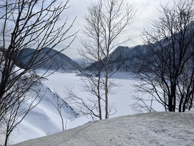 北海道8日自駕路線推薦