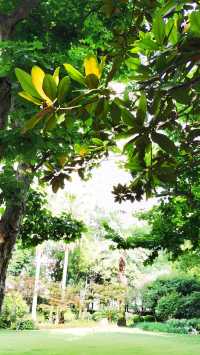 淮海公園：由外國人公墓改建而來的公園
