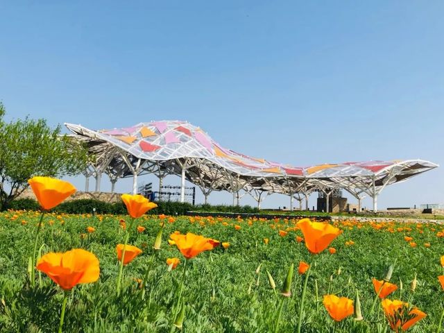 三台山衲田花海