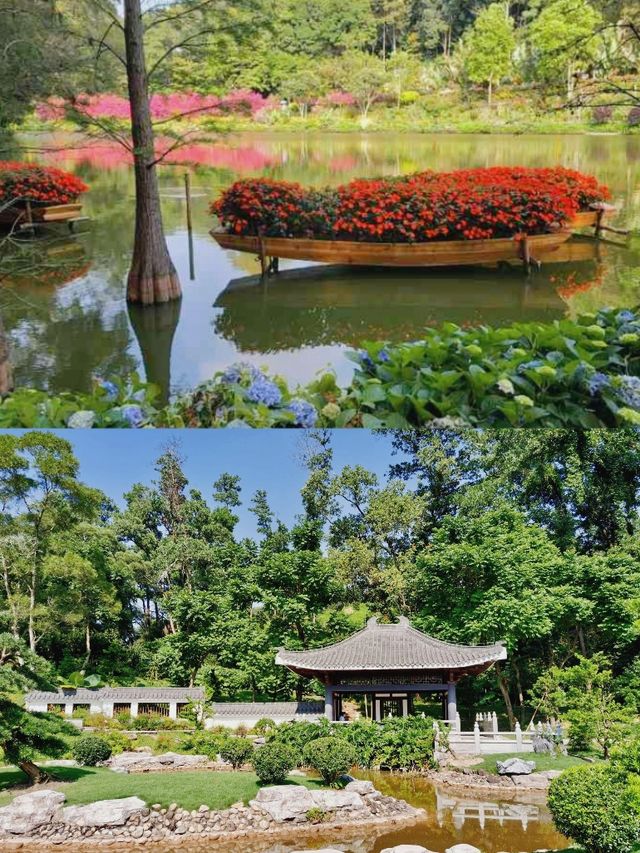 深圳版「莫奈花園」 仙湖植物園