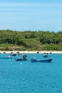 北海旅行丨總要去一次涠洲島吧！登島快樂