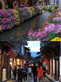 麗江古城，鮮花的海洋，感受人間浪漫