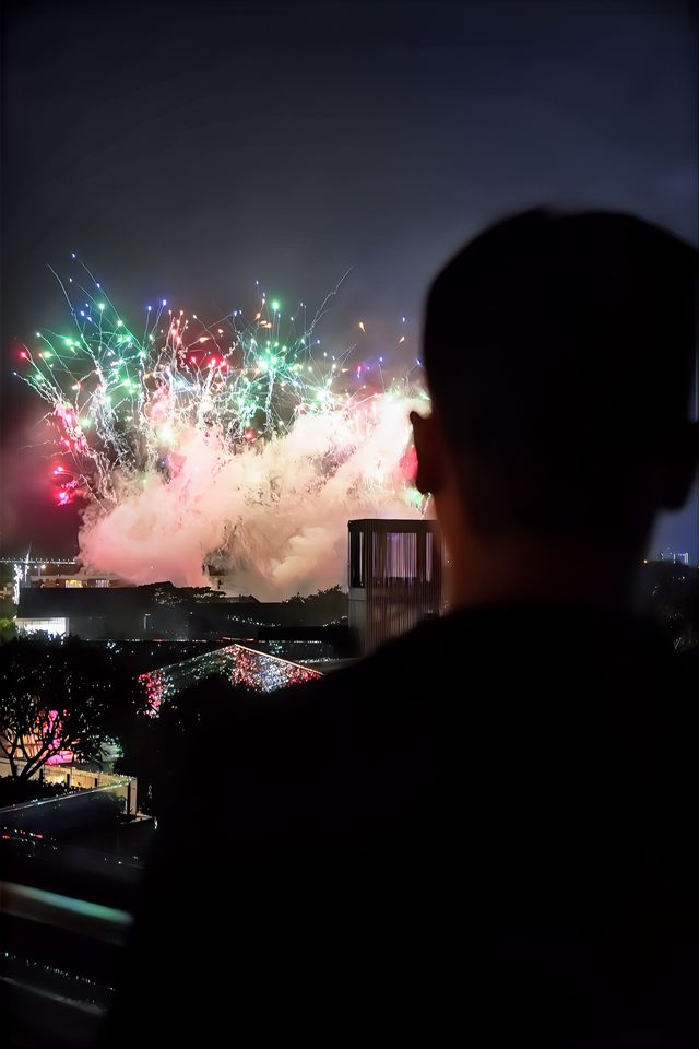 換一種生活方式·領略中式嶺南的美