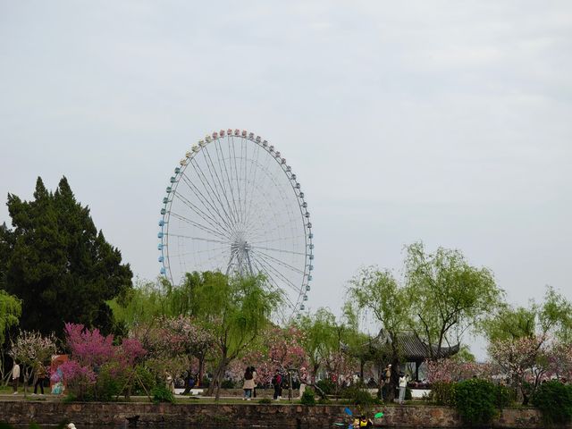 江南之無錫一日遊特種兵