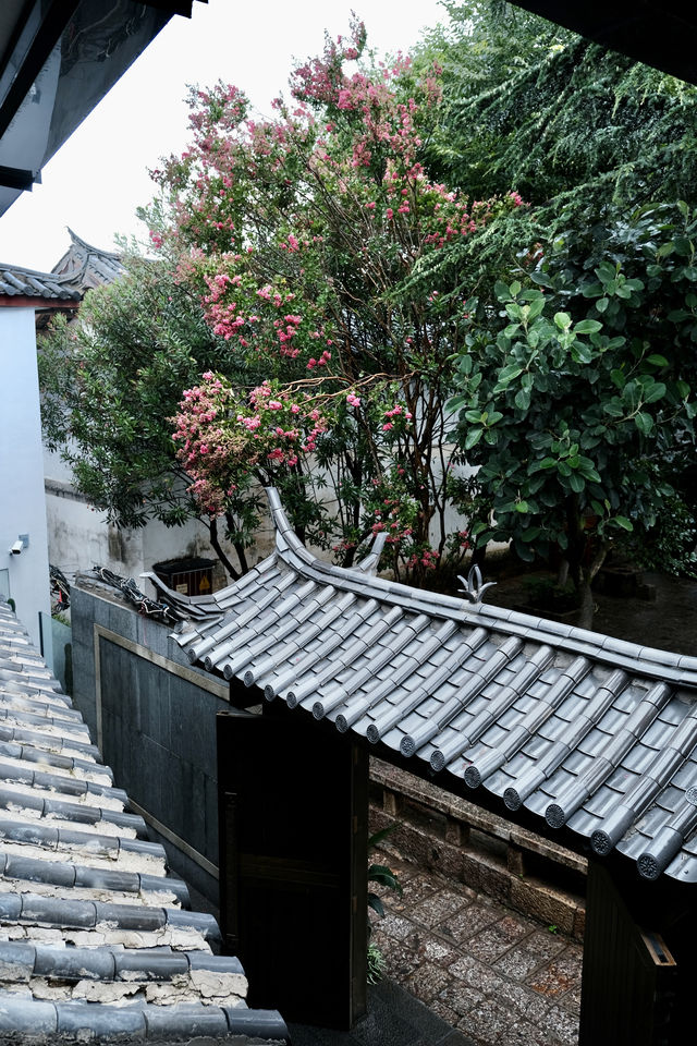 在麗江！聽我的住古城裡真的太方便了