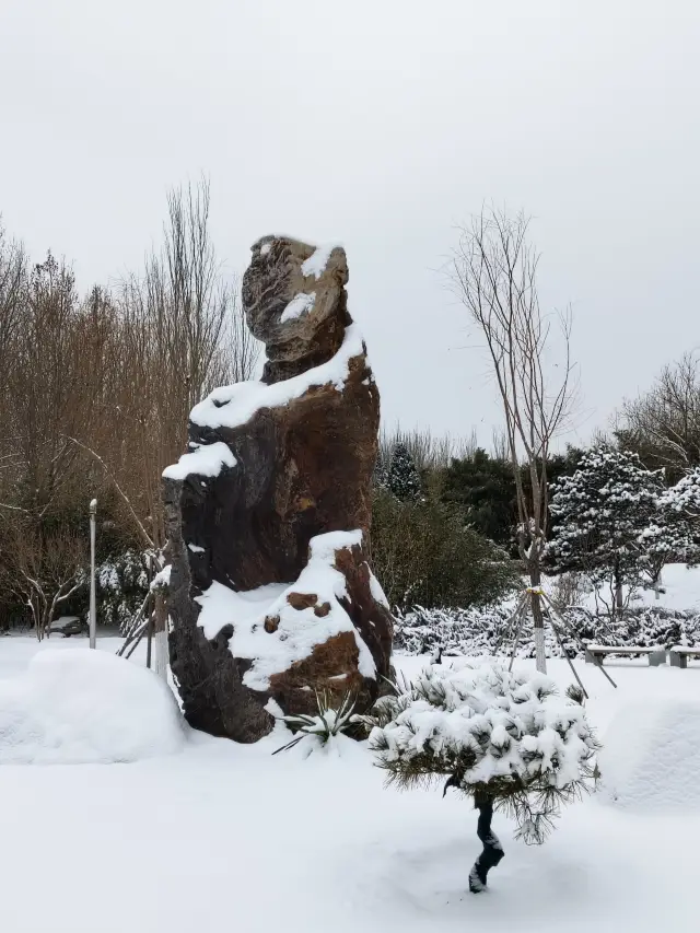 雪趣園博園