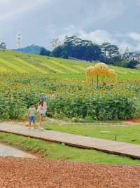 廣州週末/漫遊日系山村叢林溯溪桨板樂園