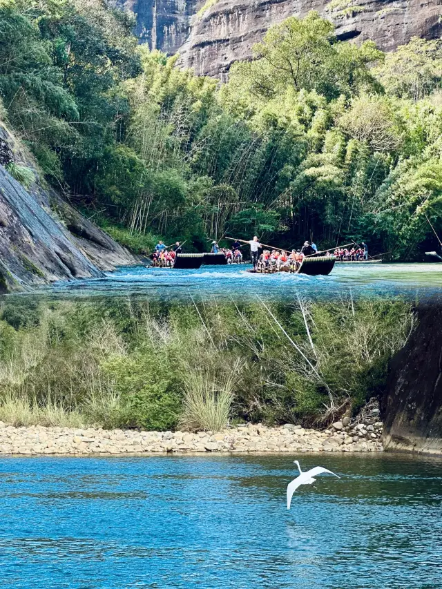 Weekend Trip to Wuyi Mountain, One-Day Essential Tour Guide|||