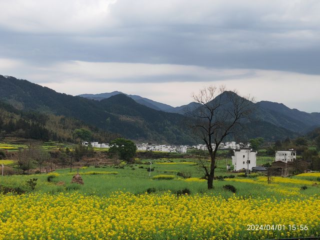 粉牆黛瓦戀徽州——記錄那些旅途中的徽式建築