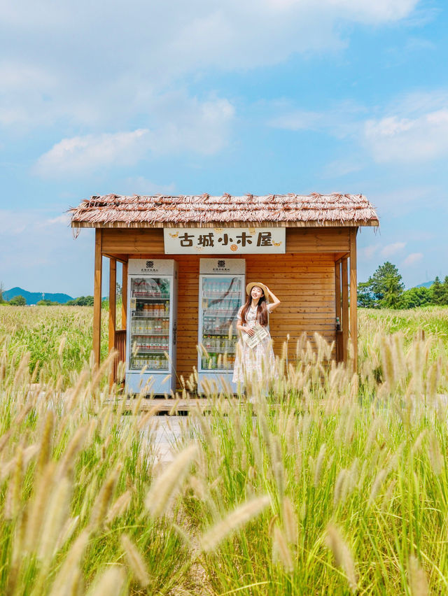 In Hangzhou‼️ Not Nara Dali! Stop asking🤣