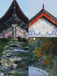 長沙寶蓋寺|去的路上沿途都是美的風景久在樊籠裡 復得返自然