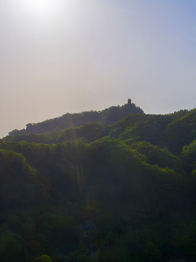 五一假期｜逃離城市喧囂，沉浸式體驗青城山