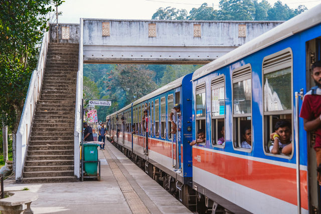 穿越高山茶園的斯里蘭卡火車！掛火車享受自由的風