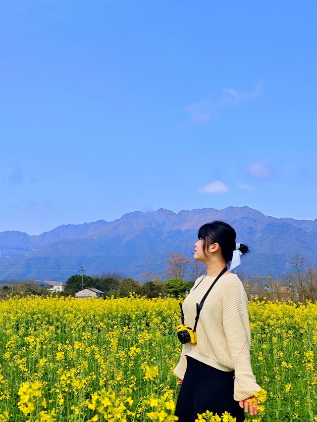 桂林·龍井村風景區丨春天來全州龍井賞油菜花海