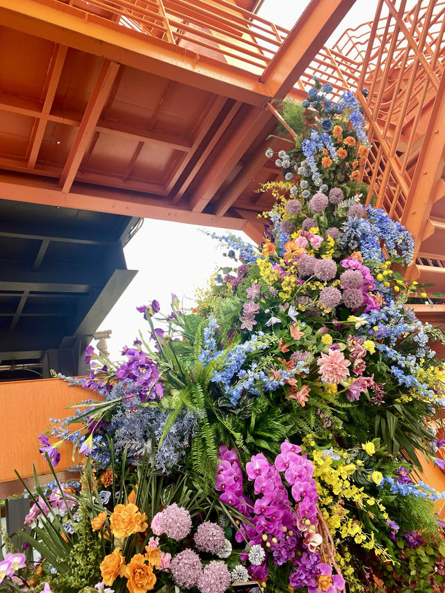 五一去哪玩｜徐匯濱江的花展美哭了！