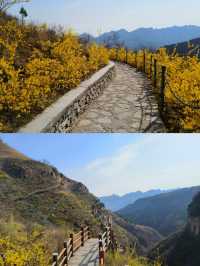 北方的“九寨溝”，你知道是哪嗎？