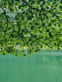 德陽 綿竹一日遊