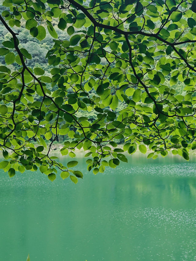 德陽 綿竹一日遊 德陽 綿竹一日遊