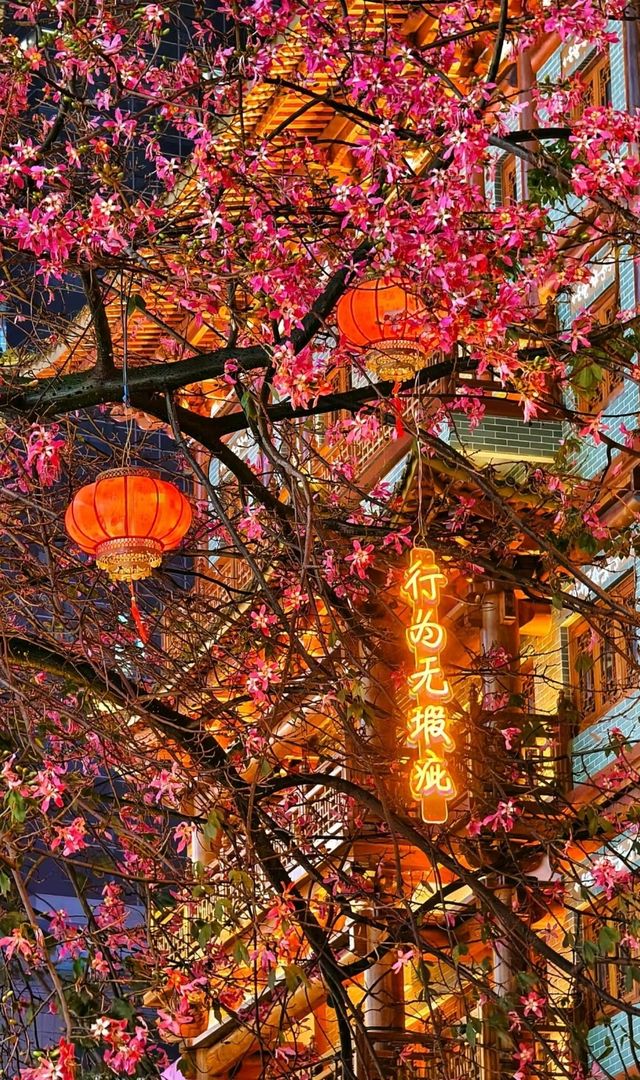 大佛寺全攻略！真心建議來廣州都不要錯過！