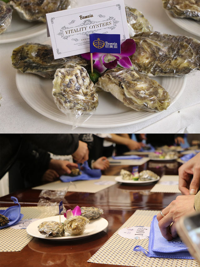 泉州悦华丨距離開蠔賽收官僅剩3天