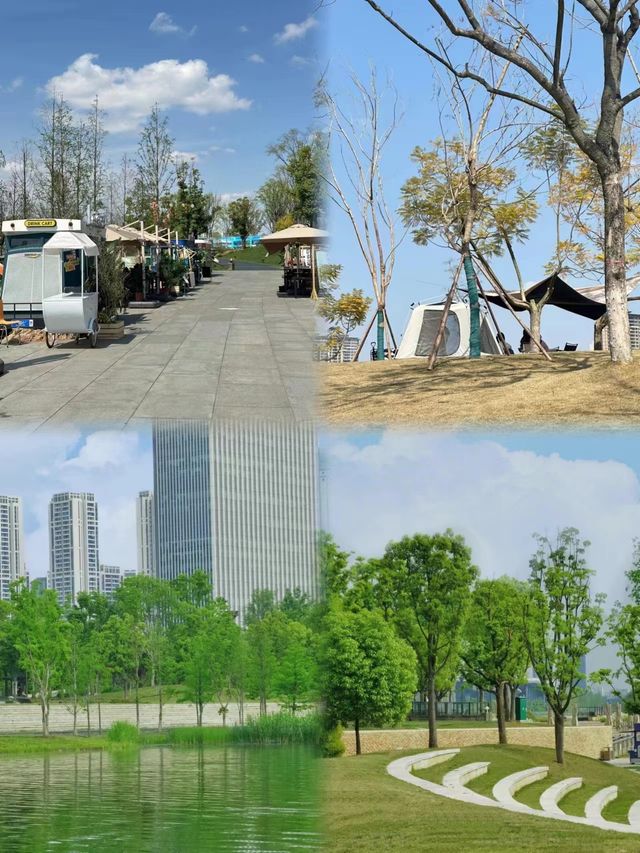 抓住週末陽光，帶著一群活潑萌寶，來一場愉快的都市綠地露營