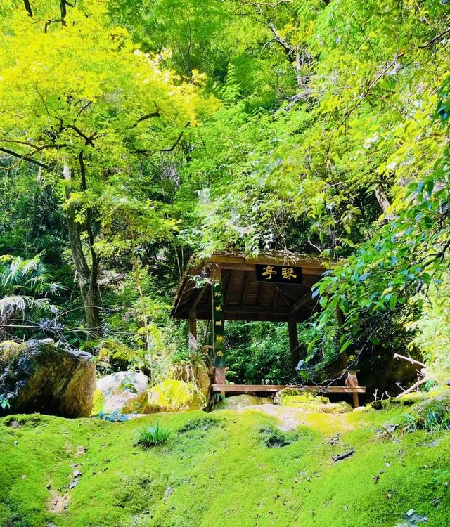 反向旅遊之安康