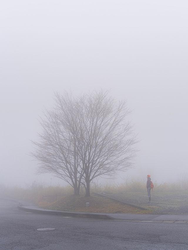 雲霧繚繞的別府