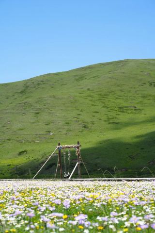 花開·俄麼塘。