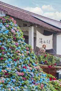 端午自駕好去處郊區這個村子太會玩啦