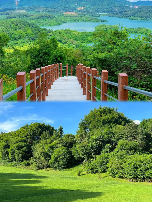這是深圳，卻神似新疆