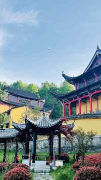 比起黃山 ｜更愛安徽這適合祈福的佛教聖山