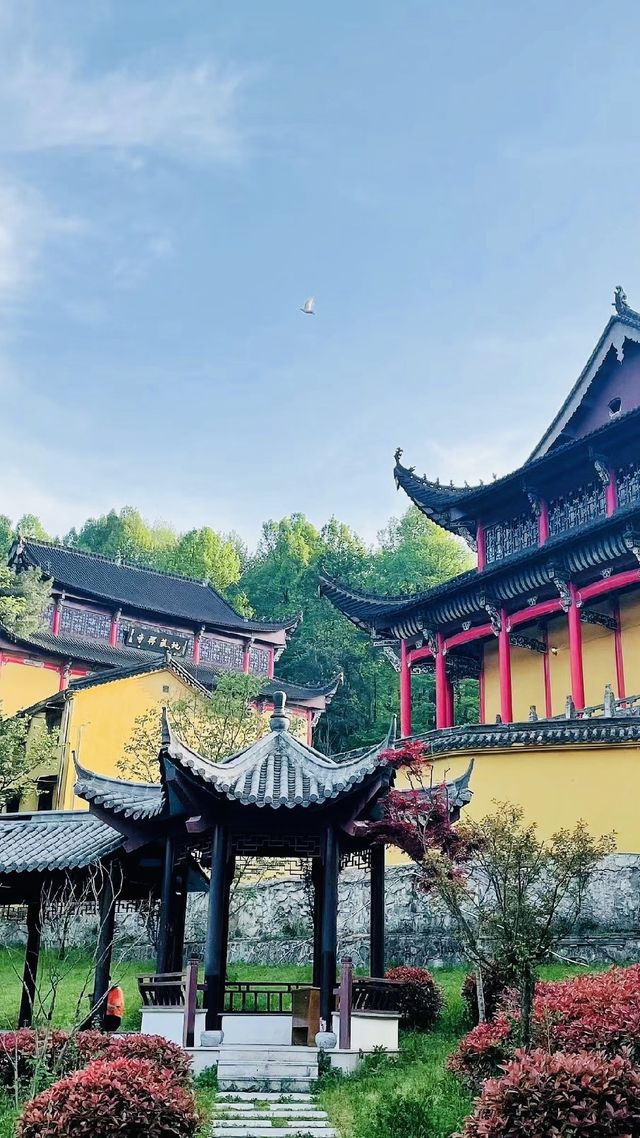 比起黃山 ｜更愛安徽這適合祈福的佛教聖山