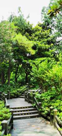 長壽公園：普陀人家門口的“清涼世界”