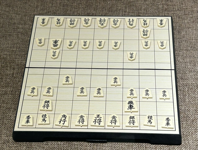 參觀上海棋牌院裡的博物館 參觀上海棋牌院裡的博物館