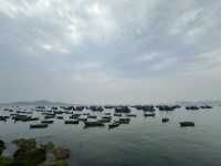 濱州-威海-青島之行