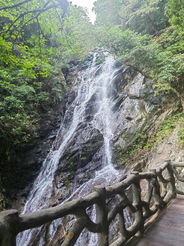 鐵直達深圳梧桐山！去爬山看這篇就夠啦|||