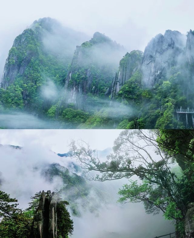 江西不止有武功山，在它隔壁的這座山也很絕