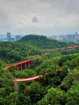 선전 홍교 공원｜숲으로 가는 빨간 산책로