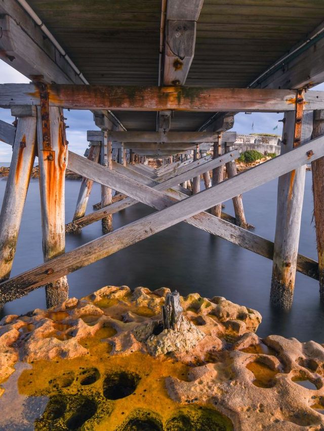 🌊 Sydney's Top Spots for Sun, Surf, and Scenic Views 🏖️